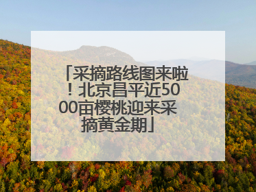 采摘路线图来啦！北京昌平近5000亩樱桃迎来采摘黄金期