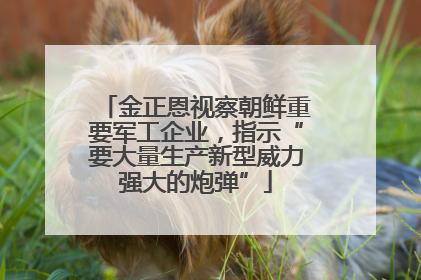 金正恩视察朝鲜重要军工企业，指示“要大量生产新型威力强大的炮弹”