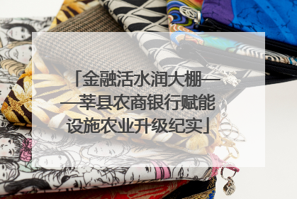 金融活水润大棚——莘县农商银行赋能设施农业升级纪实