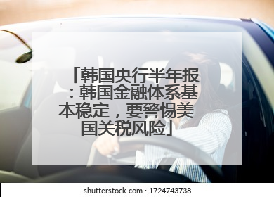 韩国央行半年报：韩国金融体系基本稳定，要警惕美国关税风险