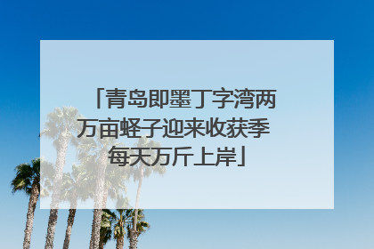 青岛即墨丁字湾两万亩蛏子迎来收获季 每天万斤上岸