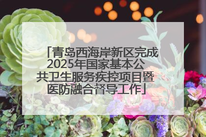 青岛西海岸新区完成2025年国家基本公共卫生服务疾控项目暨医防融合督导工作