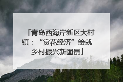青岛西海岸新区大村镇：“赏花经济”绘就乡村振兴新图景