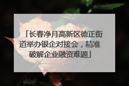 长春净月高新区德正街道举办银企对接会，精准破解企业融资难题