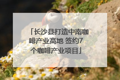 长沙县打造中南咖啡产业高地 签约7个咖啡产业项目