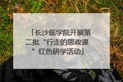 长沙医学院开展第二批“行走的思政课”红色研学活动
