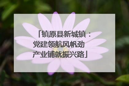 镇原县新城镇：党建领航风帆劲 产业铺就振兴路