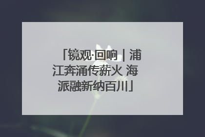 镜观·回响｜浦江奔涌传薪火 海派融新纳百川
