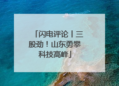 闪电评论丨三股劲！山东勇攀科技高峰