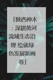 陕西神木：深耕黄河流域生态治理 绘就绿色发展新画卷