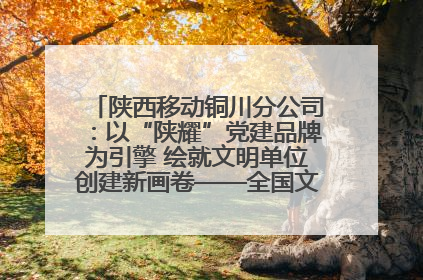 陕西移动铜川分公司：以“陕耀”党建品牌为引擎 绘就文明单位创建新画卷——全国文明单位创建纪实