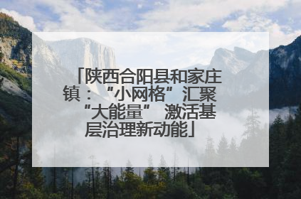 陕西合阳县和家庄镇：“小网格”汇聚“大能量” 激活基层治理新动能