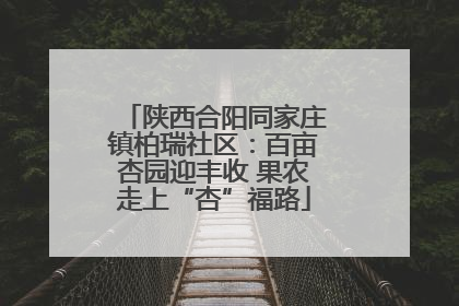 陕西合阳同家庄镇柏瑞社区：百亩杏园迎丰收 果农走上“杏”福路