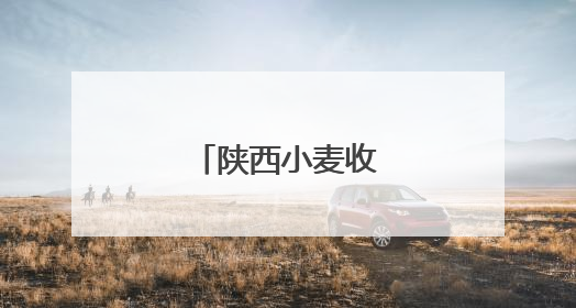 陕西小麦收获已过三成