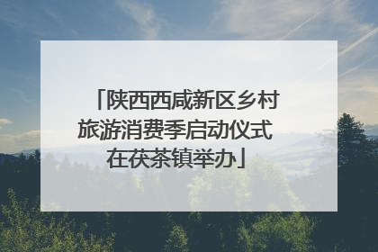 陕西西咸新区乡村旅游消费季启动仪式在茯茶镇举办