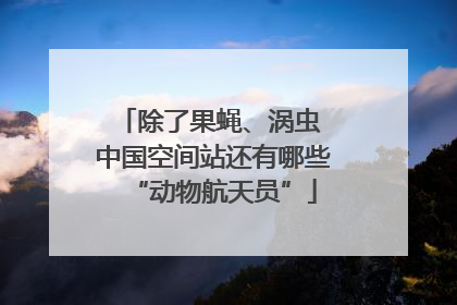 除了果蝇、涡虫 中国空间站还有哪些“动物航天员”