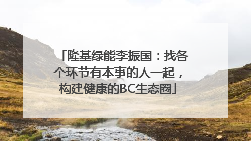 隆基绿能李振国：找各个环节有本事的人一起，构建健康的BC生态圈