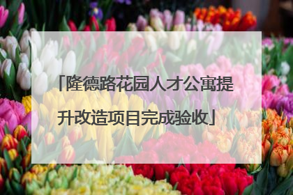 隆德路花园人才公寓提升改造项目完成验收