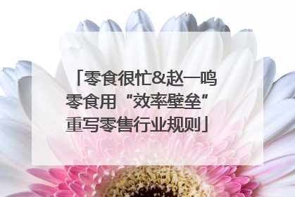 零食很忙&赵一鸣零食用“效率壁垒”重写零售行业规则