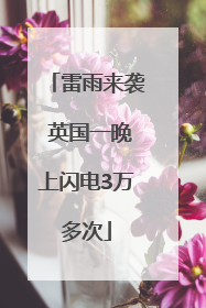 雷雨来袭 英国一晚上闪电3万多次