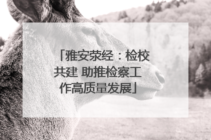 雅安荥经：检校共建 助推检察工作高质量发展