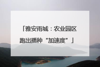 雅安雨城：农业园区跑出播种“加速度”