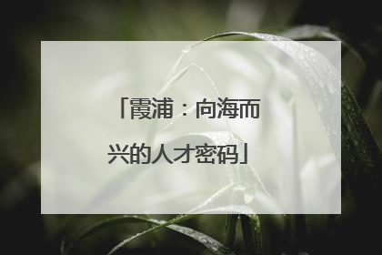 霞浦：向海而兴的人才密码