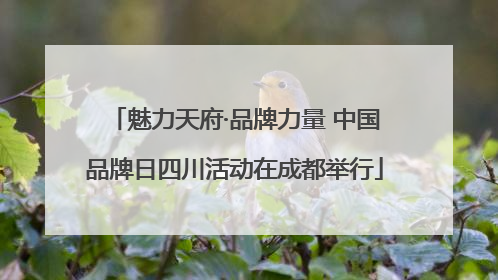 魅力天府·品牌力量 中国品牌日四川活动在成都举行