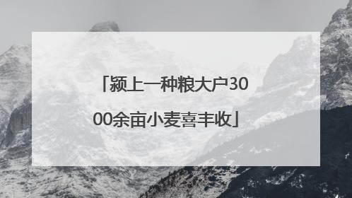 颍上一种粮大户3000余亩小麦喜丰收
