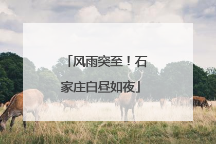 风雨突至！石家庄白昼如夜