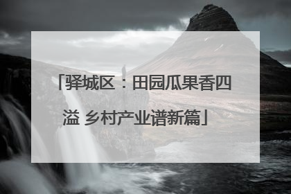驿城区：田园瓜果香四溢 乡村产业谱新篇