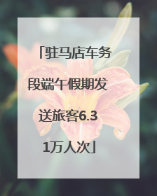 驻马店车务段端午假期发送旅客6.31万人次
