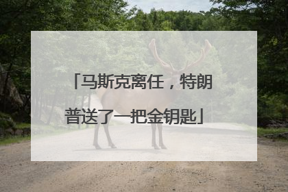 马斯克离任，特朗普送了一把金钥匙