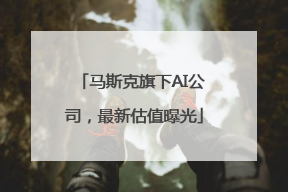 马斯克旗下AI公司，最新估值曝光