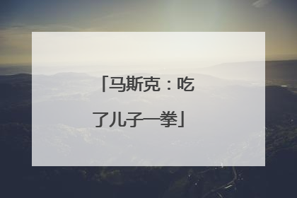 马斯克：吃了儿子一拳