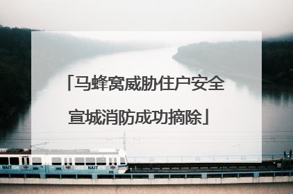 马蜂窝威胁住户安全 宣城消防成功摘除