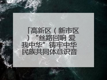 高新区（新市区）“丝路回响 爱我中华”铸牢中华民族共同体意识音乐会启幕