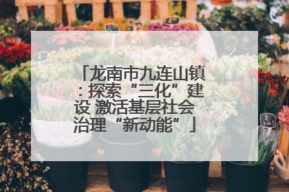 龙南市九连山镇：探索“三化”建设 激活基层社会治理“新动能”