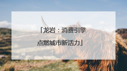 龙岩：消费引擎点燃城市新活力