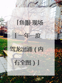 鱼眼·现场丨一年一度 驾龙出涌（内有全图）