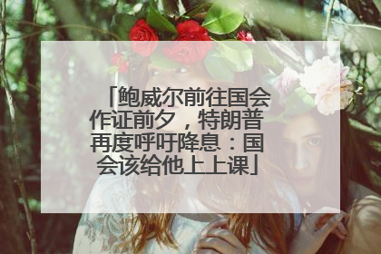鲍威尔前往国会作证前夕，特朗普再度呼吁降息：国会该给他上上课