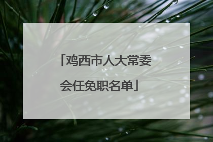 鸡西市人大常委会任免职名单