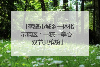 鹤壁市城乡一体化示范区：一粽一童心 双节共缤纷