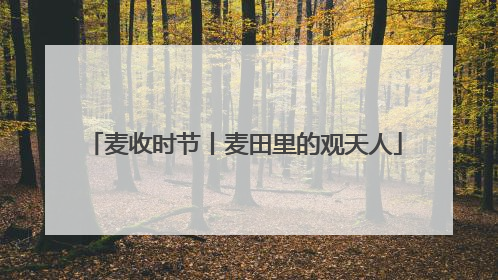 麦收时节丨麦田里的观天人