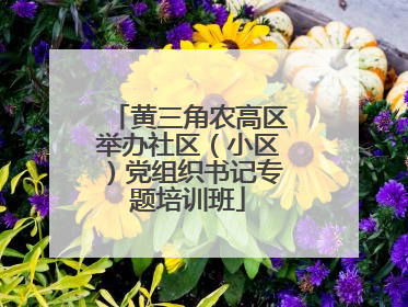 黄三角农高区举办社区（小区）党组织书记专题培训班
