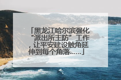 黑龙江哈尔滨强化“派出所主防”工作，让平安建设触角延伸到每个角落……