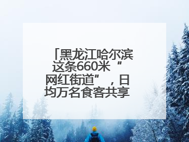 黑龙江哈尔滨这条660米“网红街道”，日均万名食客共享“平安滋味”