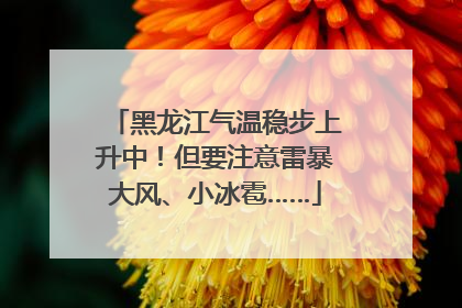 黑龙江气温稳步上升中！但要注意雷暴大风、小冰雹……