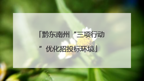 黔东南州“三项行动”优化招投标环境