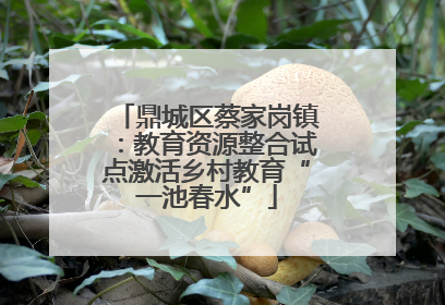 鼎城区蔡家岗镇：教育资源整合试点激活乡村教育“一池春水”